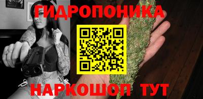 эйфоретик Гусь-Хрустальный