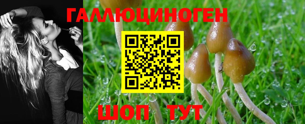 Галлюциногенные грибы Cubensis  Галлюциногенные грибы ЛСД  Рузаевка 